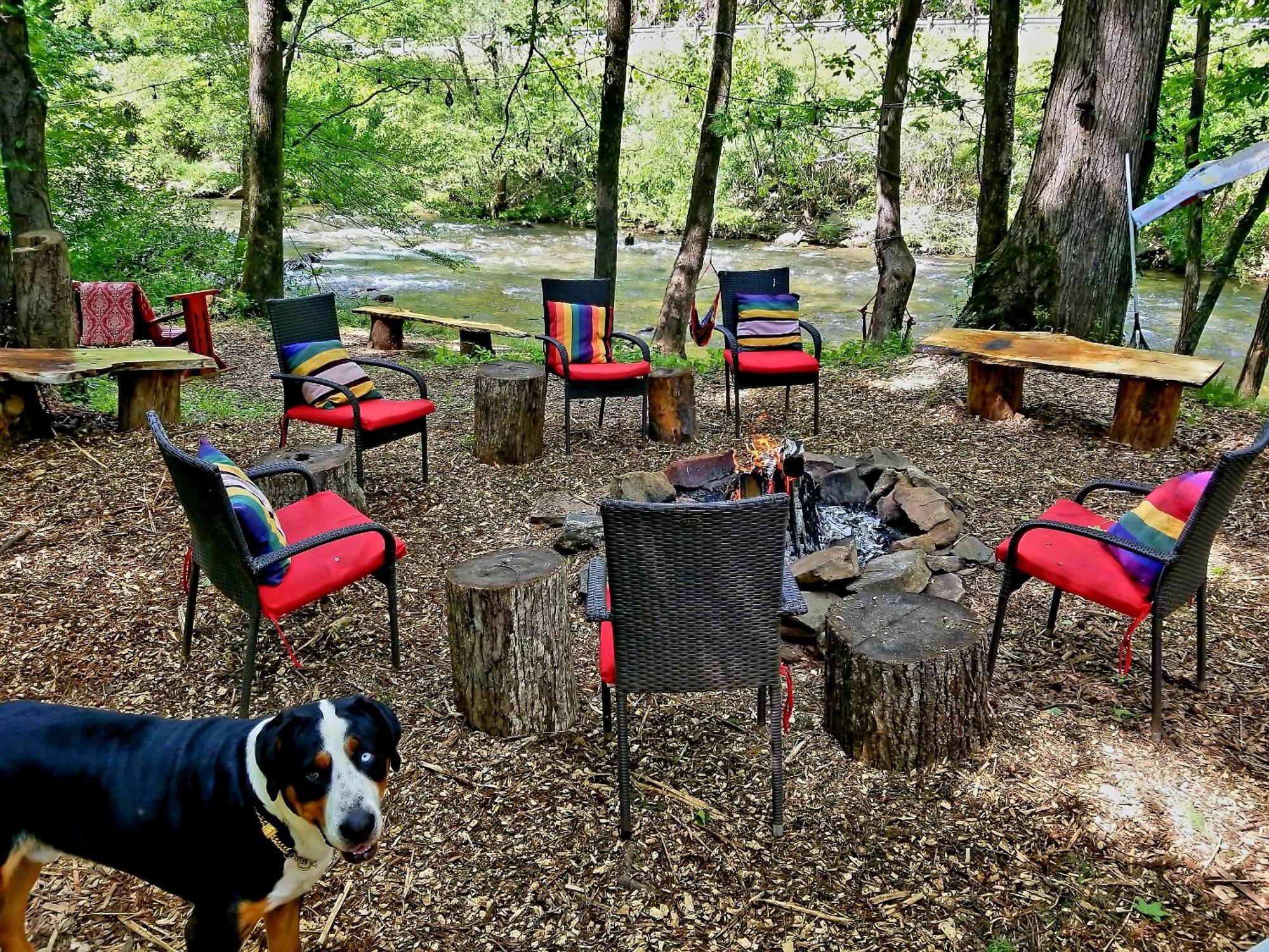 Bear Creek Lodge And Cabins In Helen Ga - Pet Friendly, River On Property, Walking Distance To Downtown הלן מראה חיצוני תמונה